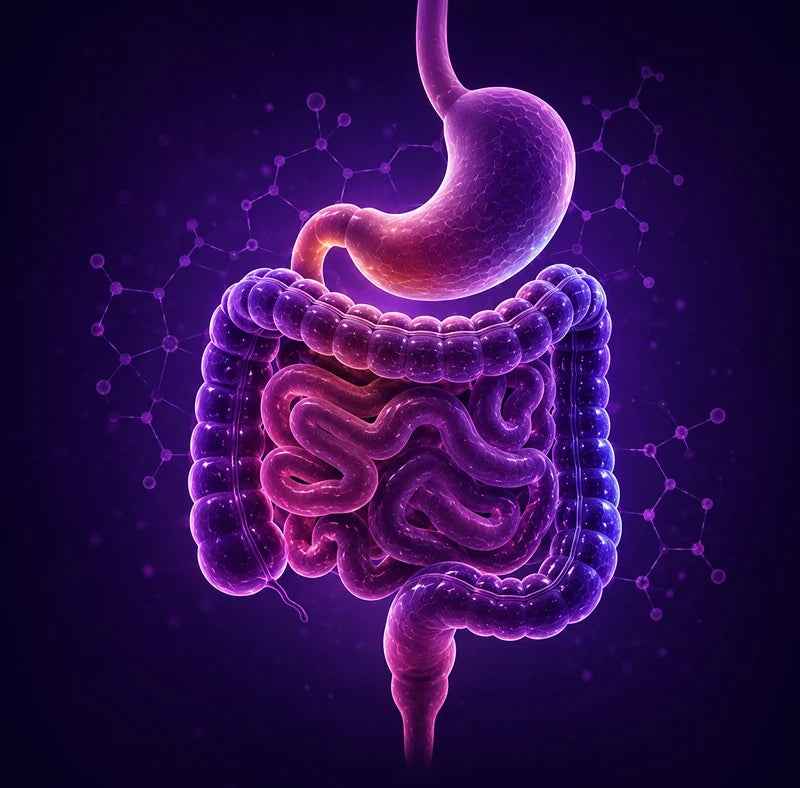 Digestive Discomfort