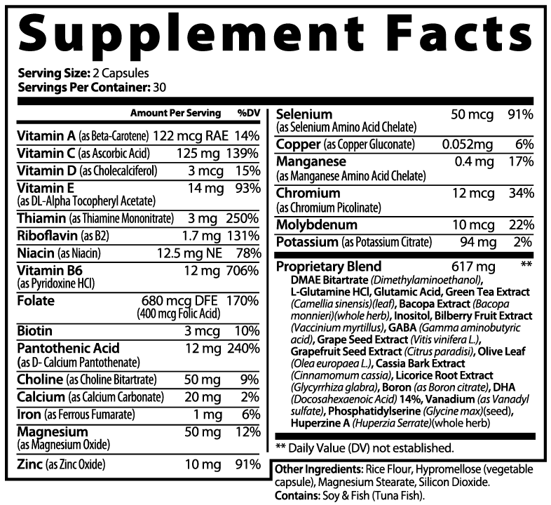 Brain Memory and Focus Support