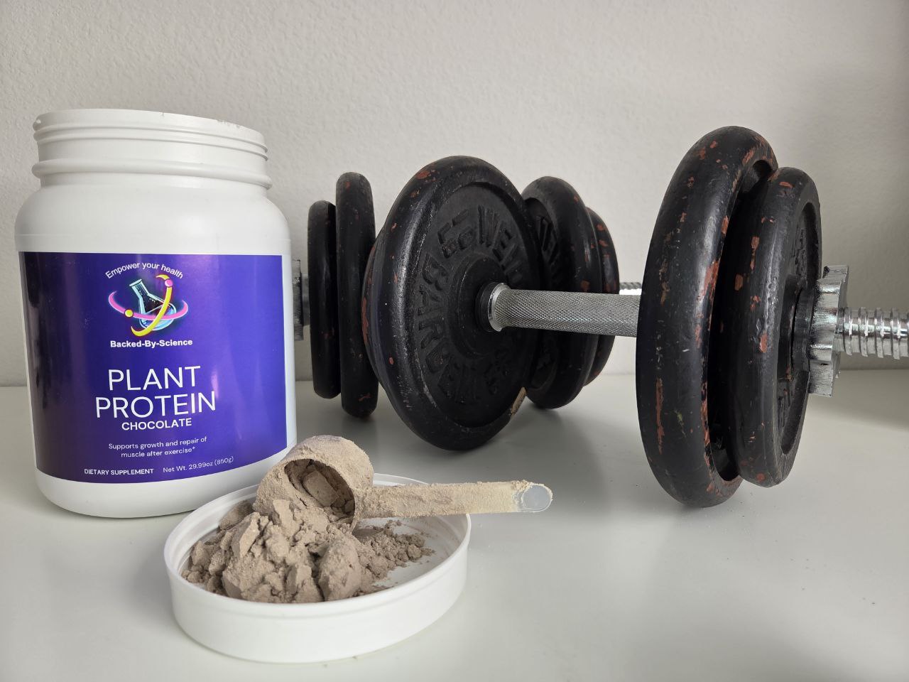 Plant Protein (Chocolate)